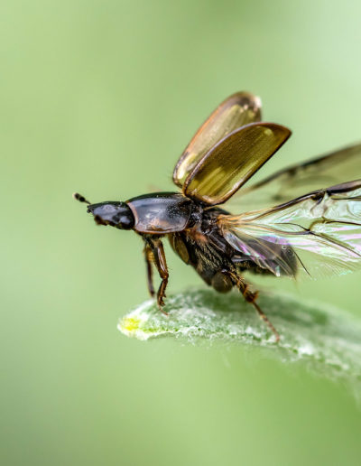 Jörn Gebhardt Fotografie