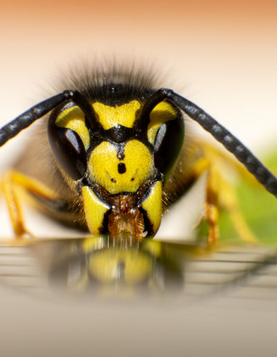 Jörn Gebhardt Fotografie