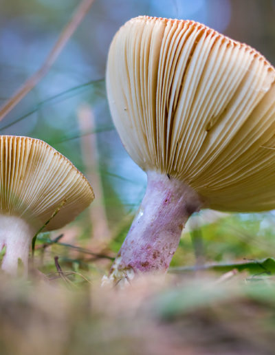 Jörn Gebhardt Fotografie